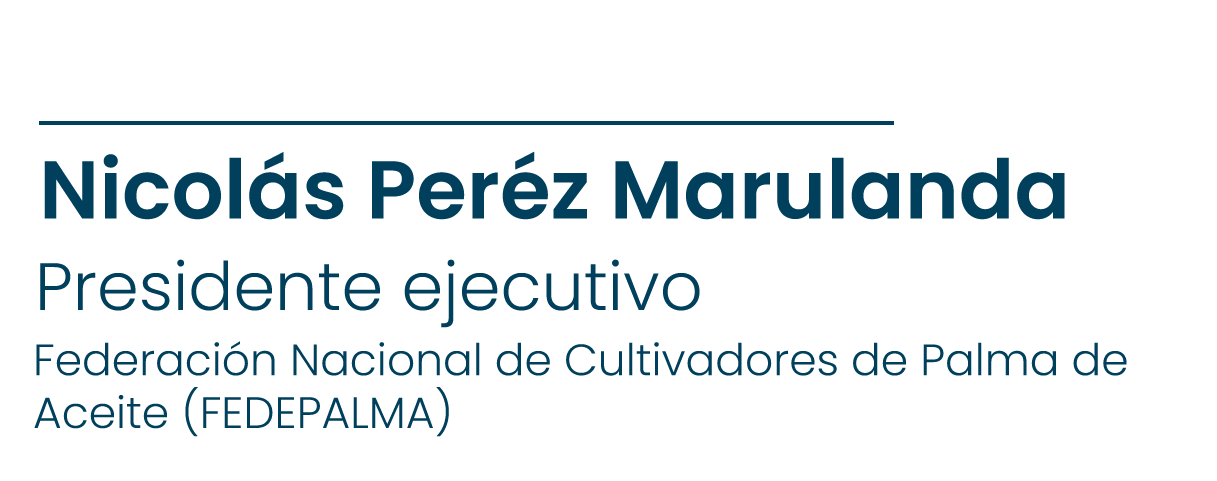 Quienes somos 42
