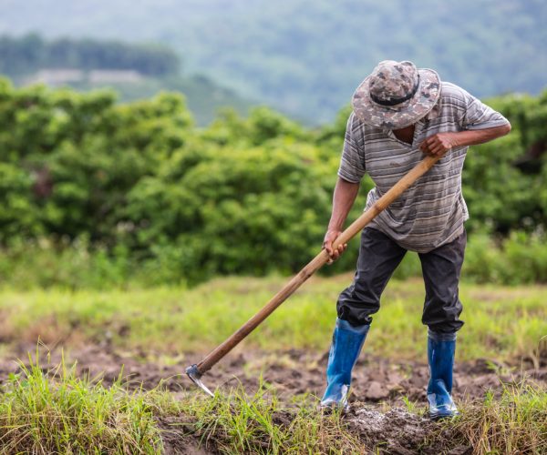 Jurisdicción Agraria en Colombia